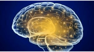 Plasticité neuronale :  un mécanisme neurobiologique  de la mémoire